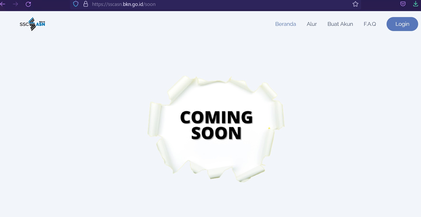 Siap-siap Pendaftaran ASN PPPK 2022 Segera Dibuka, Ini Cara Membuat